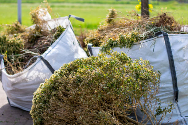 Best Yard Waste Removal  in West Wyoming, PA